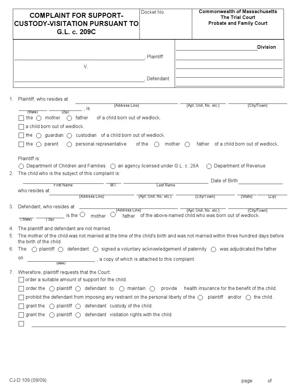 Massachusetts Child Custody Form