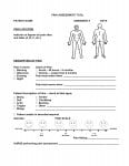 Pain Assesment Tool Form